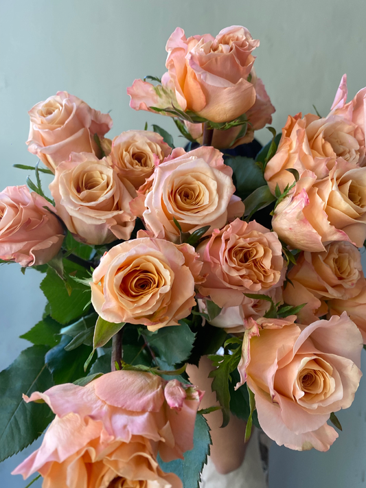 Shimmer Rose dari Ecuador: Pesona Bunga Mewah dari Ecuador | Le Bliss Bouquet