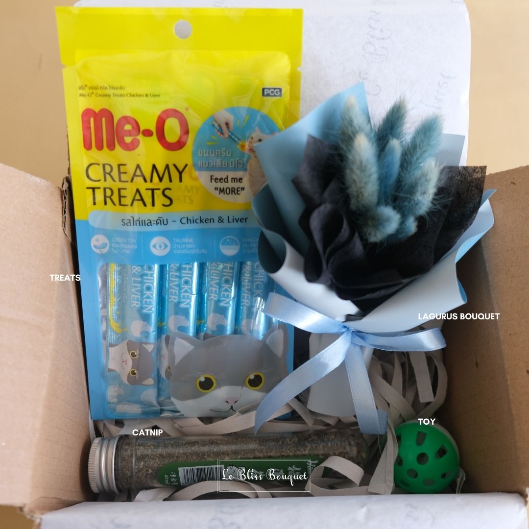 Cat Lover Gift Box