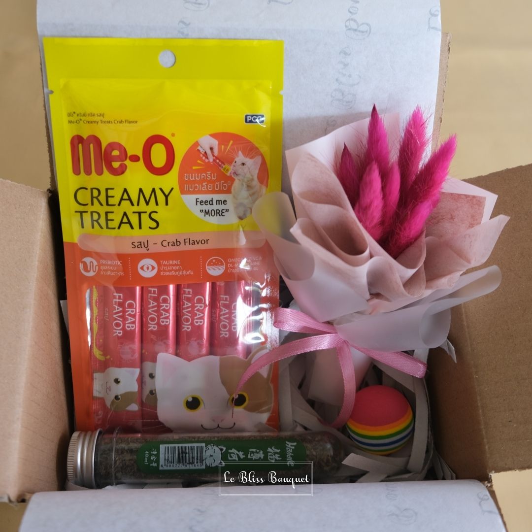 Cat Lover Gift Box