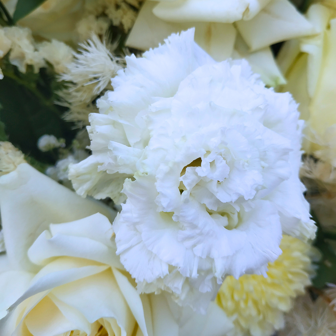 White Lisianthus Rose Polar Grand Bloombox