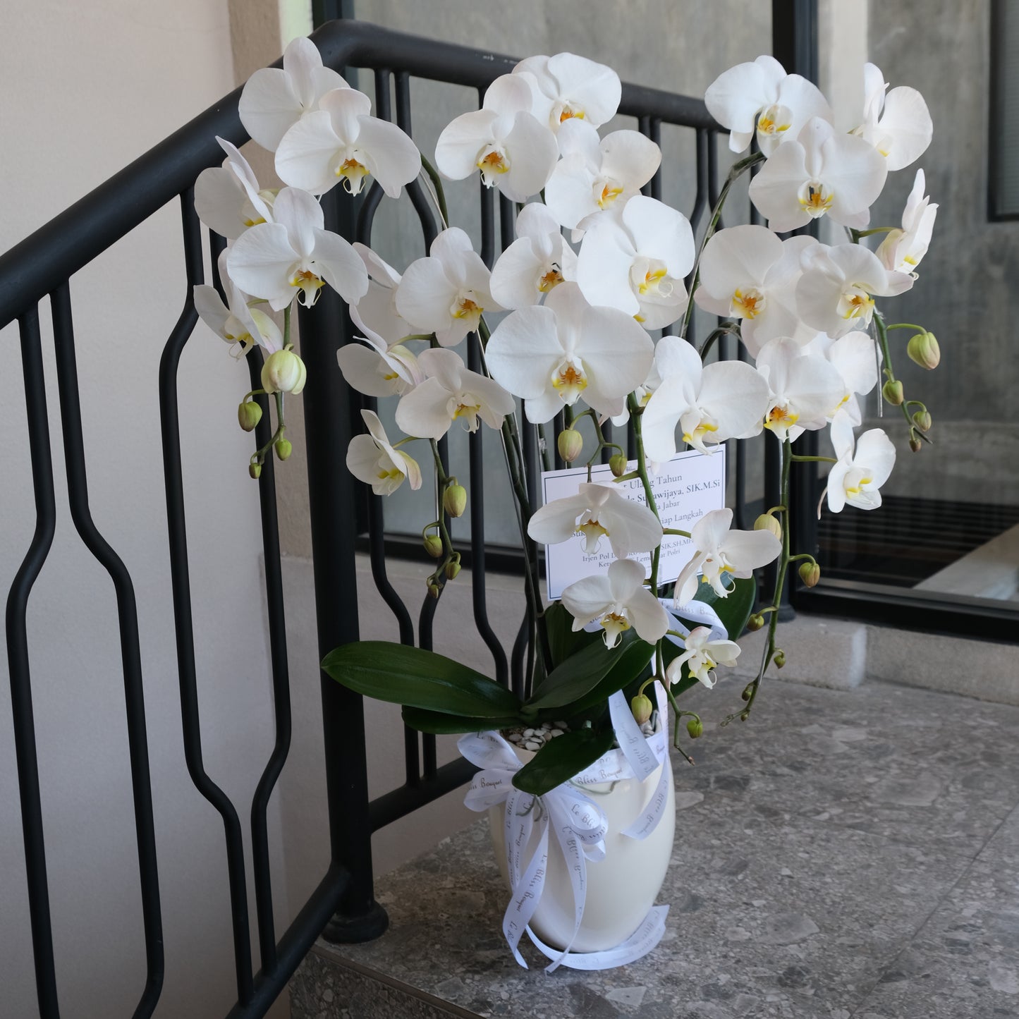 5 Stem Orchid Vase