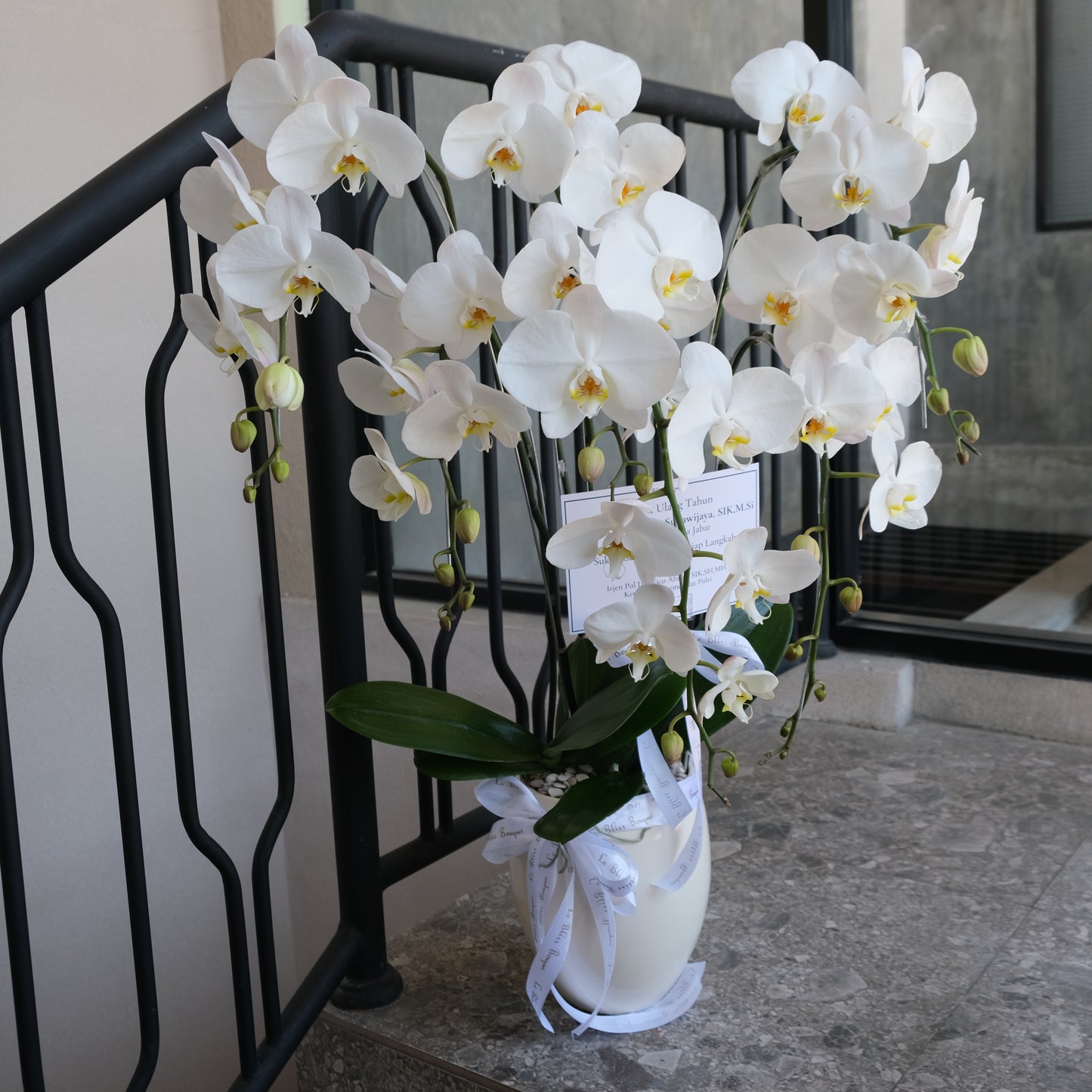 5 Stem Orchid Vase