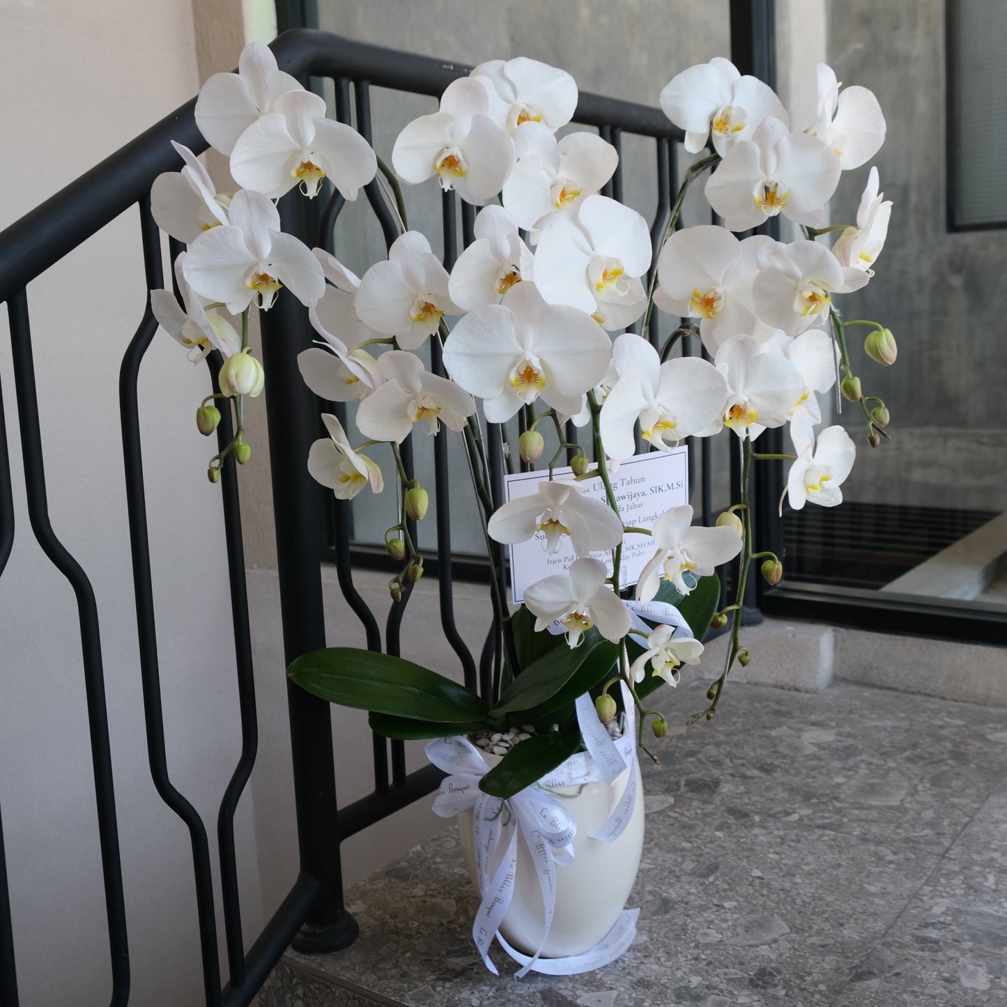 5 Stem Orchid Vase