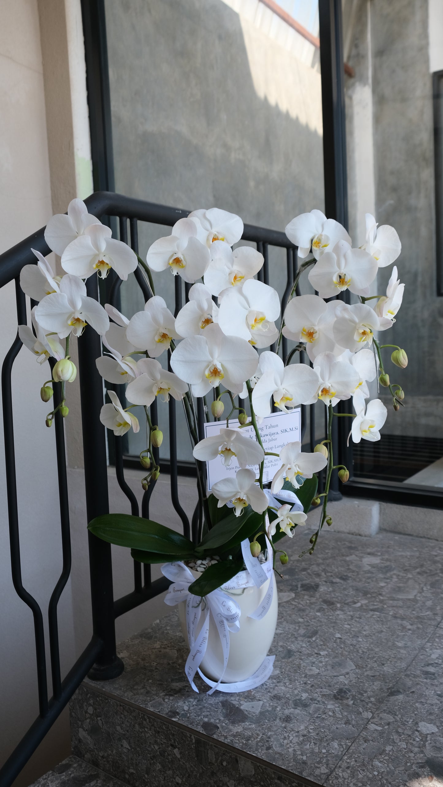 5 Stem Orchid Vase