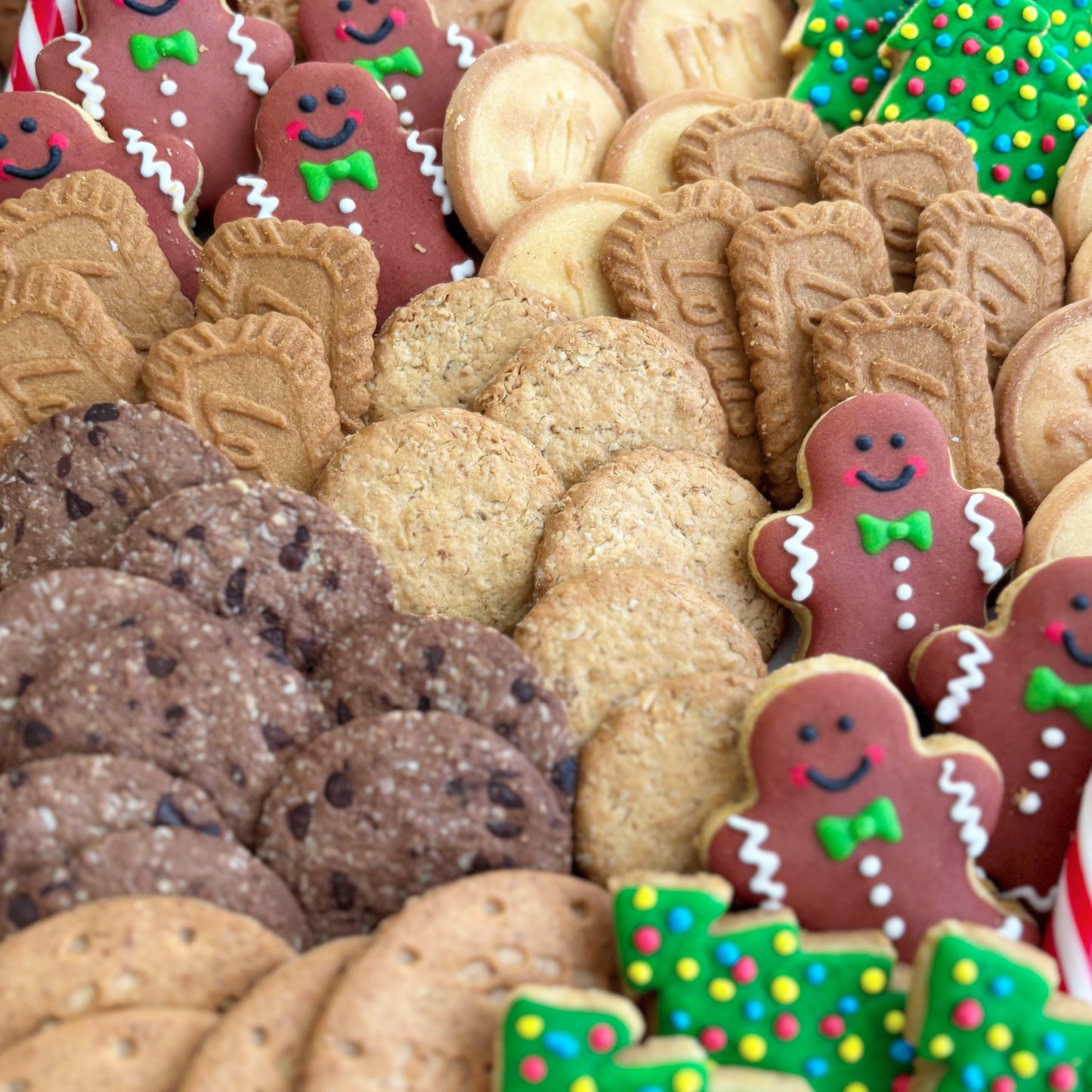 Assorted cookies including gingerbread men and decorated cookies on a tray. by le bliss plater