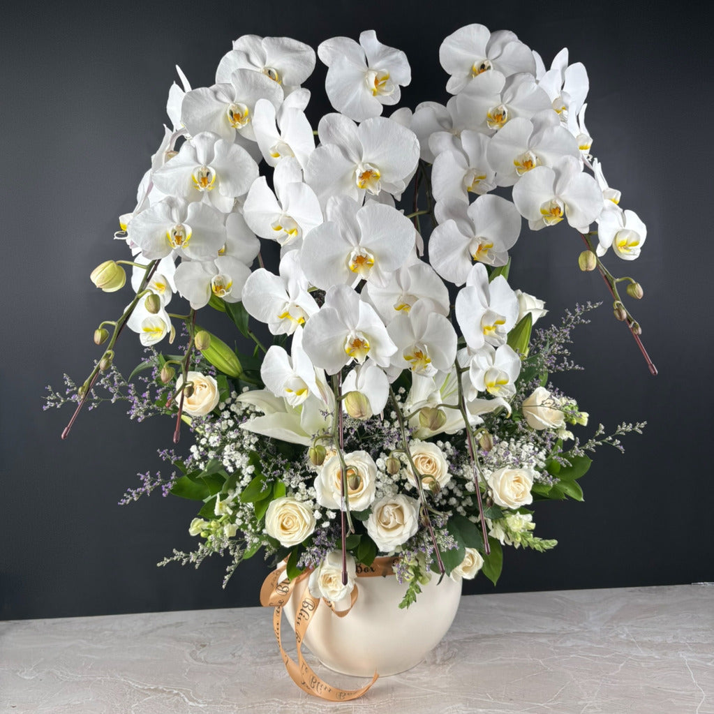 6 Orchids Vase Arrangement