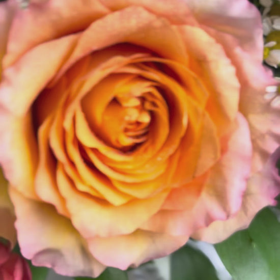 free spirit rose vase arrangement by le bliss bouquet. rangkaian bunga vas jakarta, surabaya